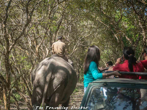 നിങ്ങളുടെ ആഗ്രഹം വ്യക്തമാക്കുക