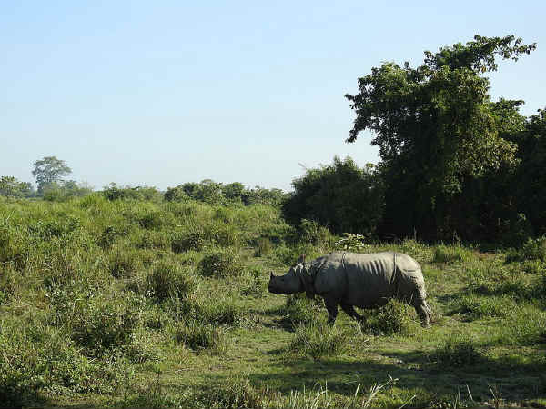 പോകാന്‍ പറ്റിയ സമയം