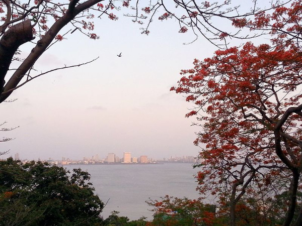 ഹാംഗിംഗ് ഗാർഡൻ