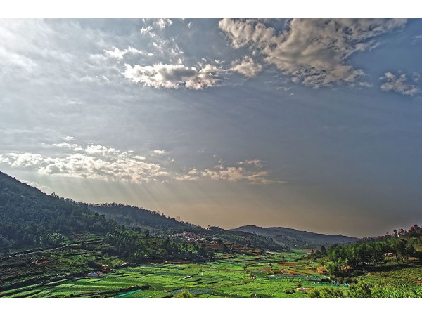 4. കോട്ടഗിരി