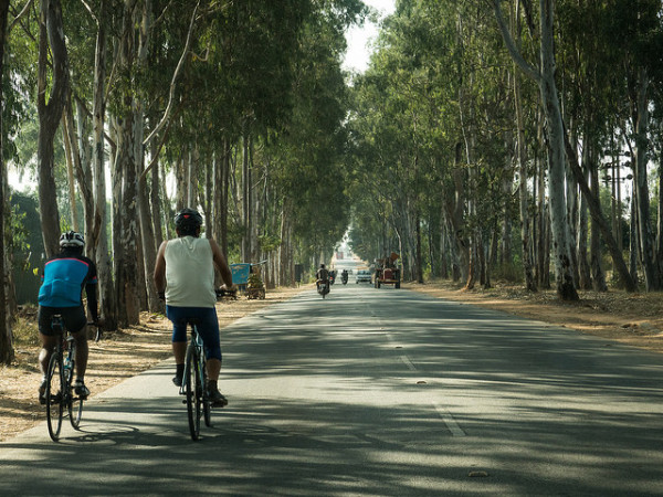 മരങ്ങൾക്കിടയിലൂടെ