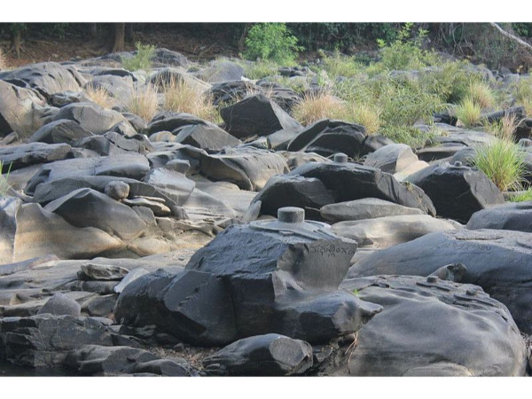 സഹസ്ര ലിംഗം