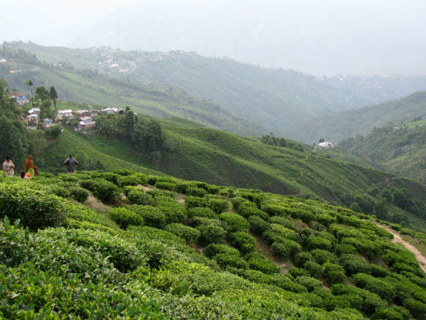 4. മലനിരകളുടെ റാണിയായ ഡാര്‍ജിലിങ്