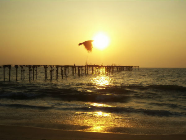 3. ആലപ്പുഴ ബീച്ച്