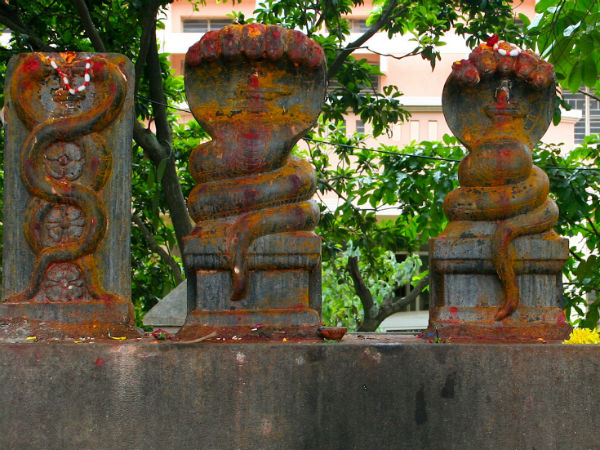 നാഗരാജാക്കന്‍മാര്‍ക്കുള്ള ക്ഷേത്രം