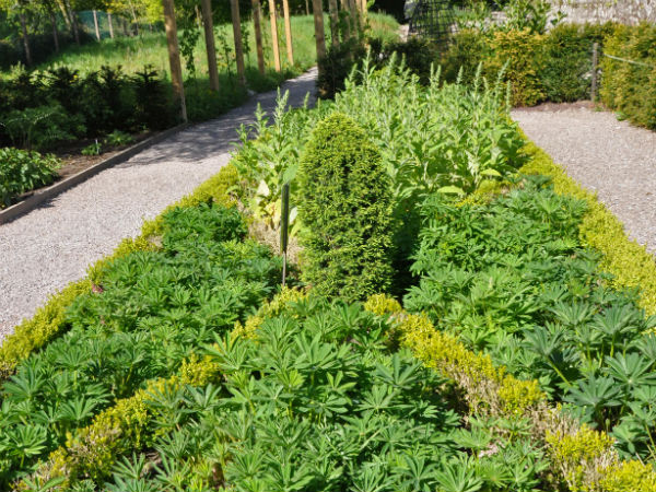 5.ഔഷധ ഉദ്യാനവും നക്ഷത്രവനവും