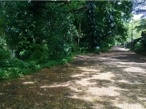 10. നന്‍മയിലേക്കുള്ള തിരിഞ്ഞു നടത്തം