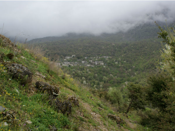 4. ജൈവവൈവിധ്യം