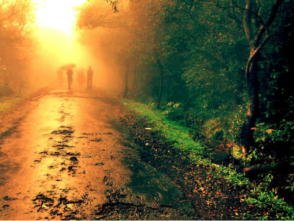 5. മഴക്കാലത്തെ അംബോലി