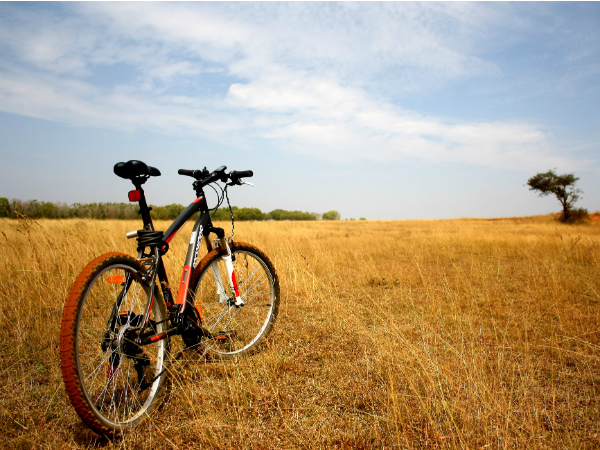 4. ഹെസാരഘട്ട ഗ്രാസ്‌ലാന്‍ഡ്