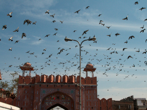 ജയ്പൂര്‍