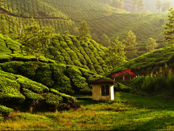 best love and honeymoon desinatin