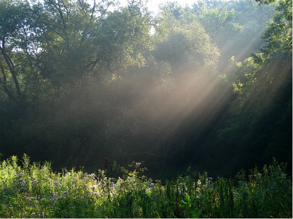 paradise for bird watchers in karnataka