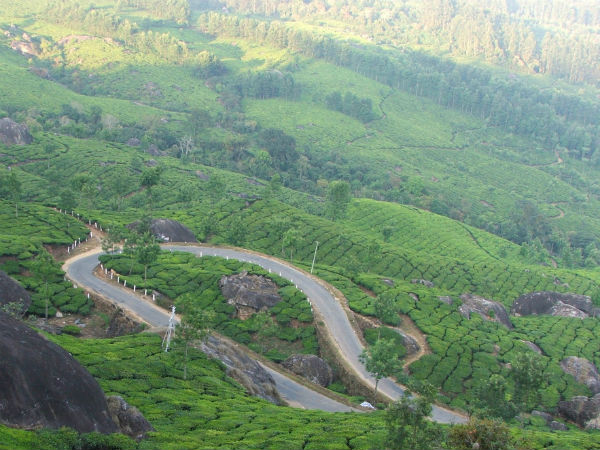 best love and honeymoon desinatin