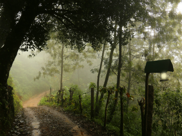 best love and honeymoon desinatin