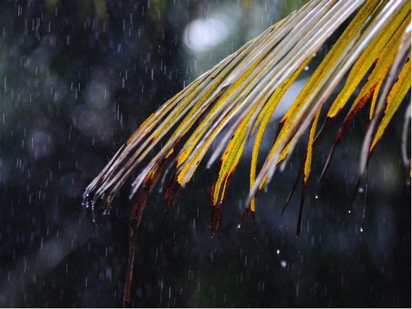 മലപ്പുറം 