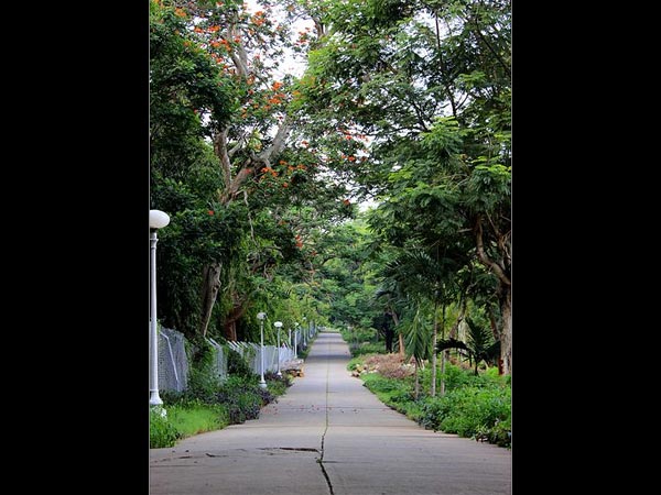 മാണ്ഡ്യ