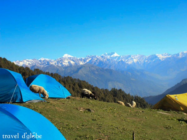 കനാമോ പീക്ക് ട്രക്ക് 