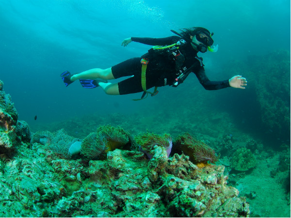 തകര്‍ന്ന കപ്പലുകള്‍ക്കിടയിലൂടെയൊരു സ്‌കൂബാ ഡൈവിങ്