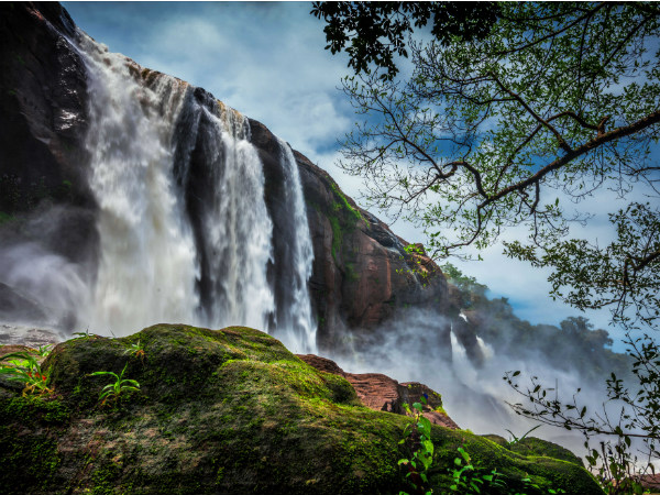 Jungle safari monsoon tourism