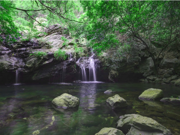 Nagalapuram waterfall trekking,