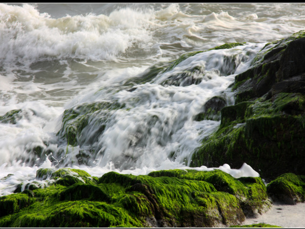  ബേക്കല്‍ഫോര്‍ട്ട്