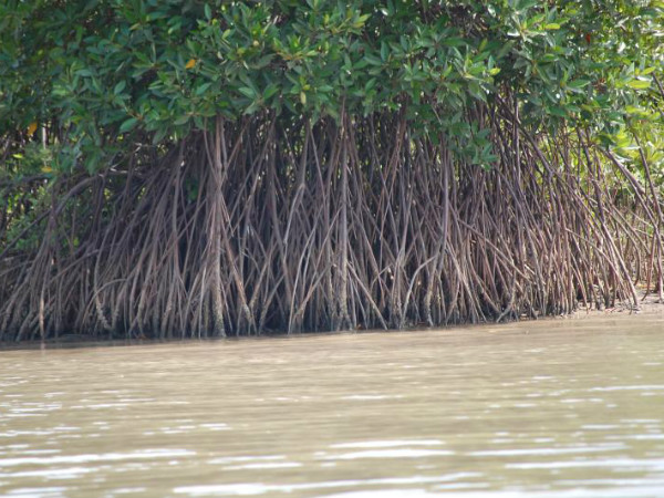 ഫോട്ടോഗ്രാഫിക്കു പറ്റിയയിടം