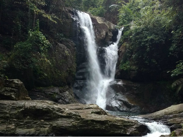 മങ്കയം വെള്ളച്ചാട്ടം