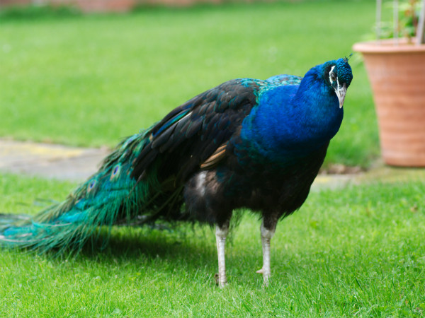  സന്ദര്‍ശനം ഉച്ചയ്ക്കു ശേഷം