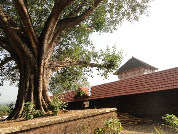 രാത്രിയില്‍ കൂട്ടിയ ചട്ടം