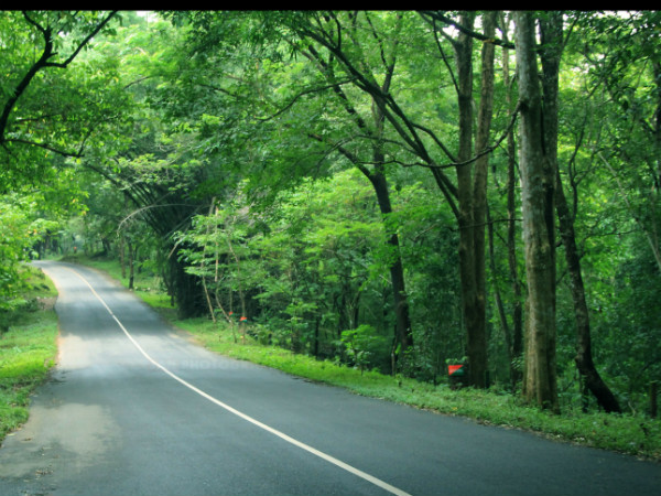 നല്ല വഴി