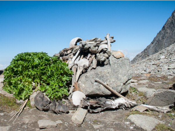 അസ്ഥികൂടങ്ങളുടെ തടാകം