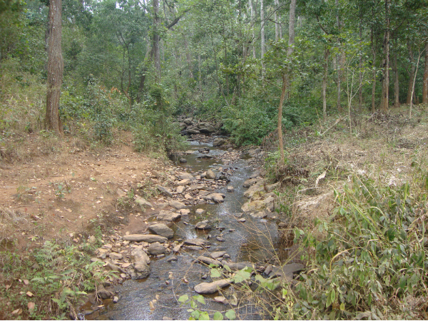 സിംലിപാല്‍