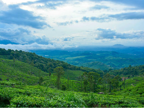 ചെമ്പ്ര