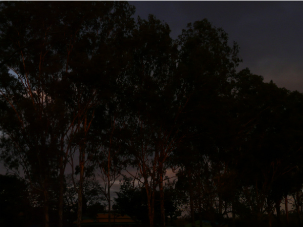 ലൈഫ് ഫോട്ടോഗ്രാഫര്‍മാരുടെ സ്വര്‍ഗ്ഗം