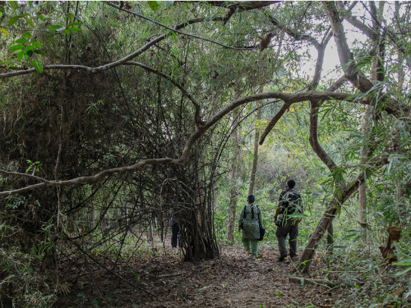 കടന്നു കയറ്റമാണെന്നുള്ള തിരിച്ചറിവ്