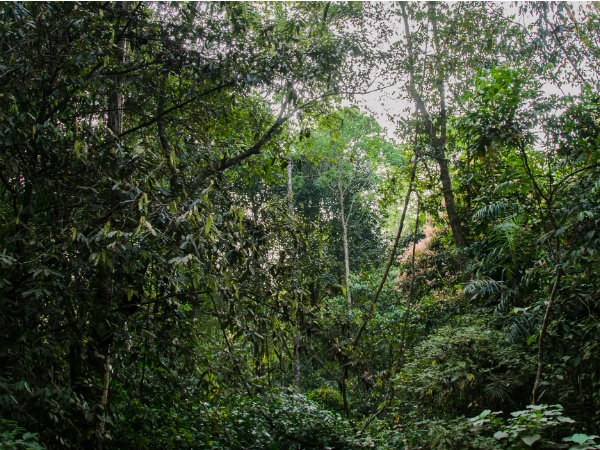 ഒഴിവാക്കാം പ്ലാസ്റ്റിക്