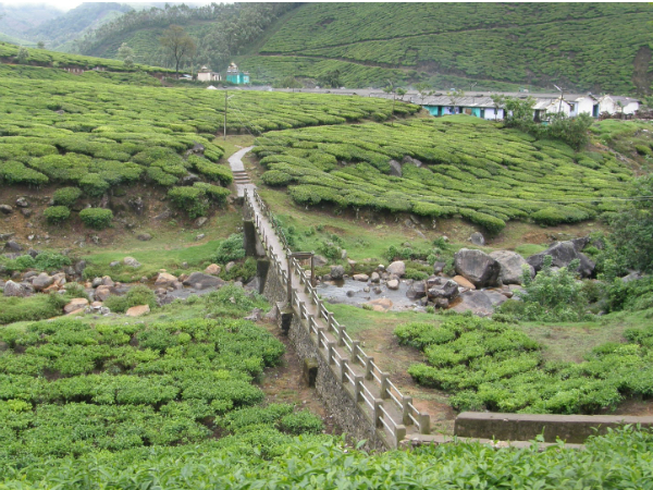മഴയില്‍ മൂന്നാറില്‍ നിന്നും ടോപ് സറ്റേഷനിലേക്ക്