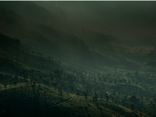 കാലാവസ്ഥ