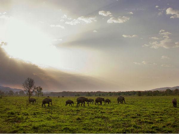 ഇന്ത്യയിലെ മികച്ച മണ്‍സൂണ്‍ ഡെസ്റ്റിനേഷനുകള്‍ 