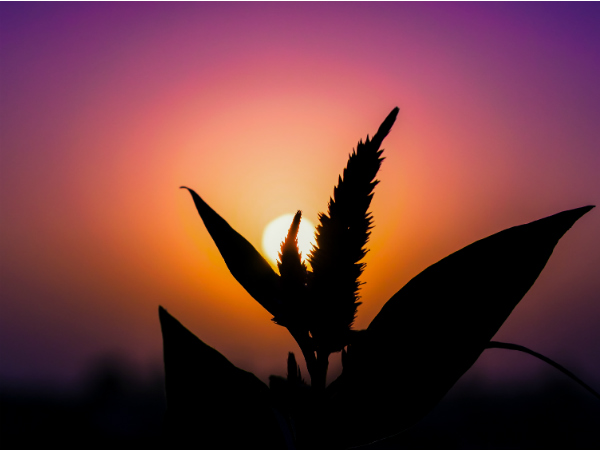 ജാംപോയിലെ സൂര്യദര്‍ശനം