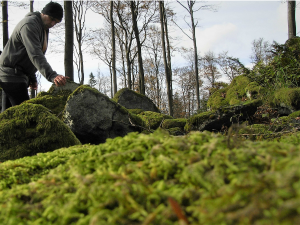 ജാംപൂയ് ഹൈക്കിങ്