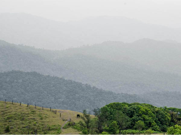 കോട്ടഞ്ചേരി 
