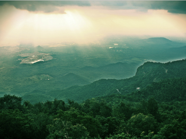 യേര്‍ക്കാട്