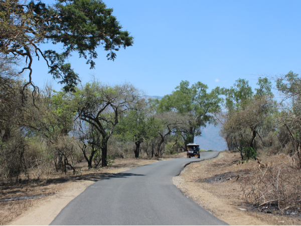 മുതുമലൈ