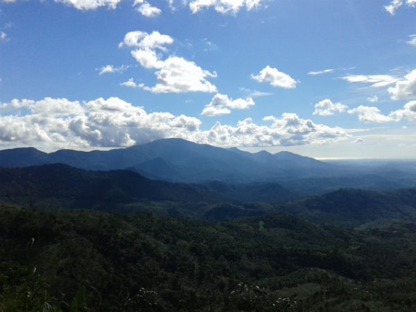 ഏലപ്പീടിക
