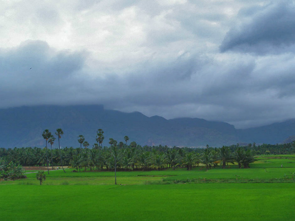nagercoil