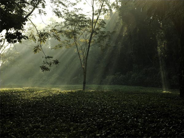 ആസ്സാം സന്ദര്‍ശിക്കാന്‍ 