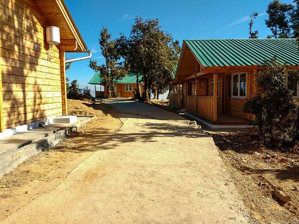 അബോട്ട് മൗണ്ട്