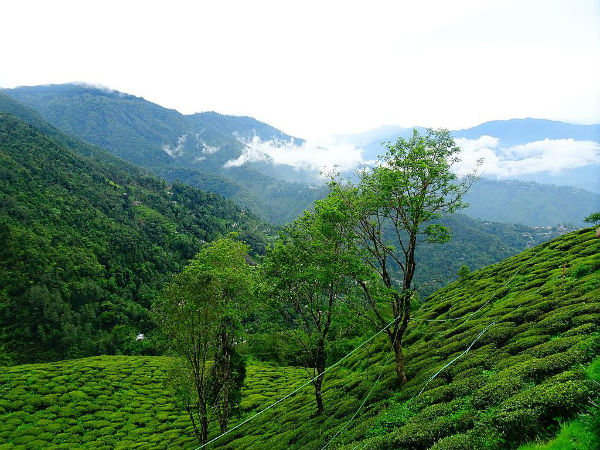 ടിന്‍കിടാം